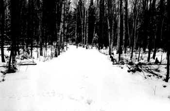 RoadSnow.JPG (59289 bytes)