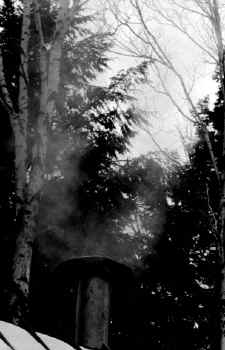 SteamVent.JPG (42397 bytes)